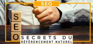 seo les secrets du référencement naturel